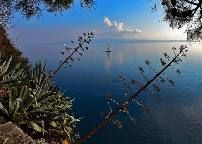 Sunny Yellow * Split